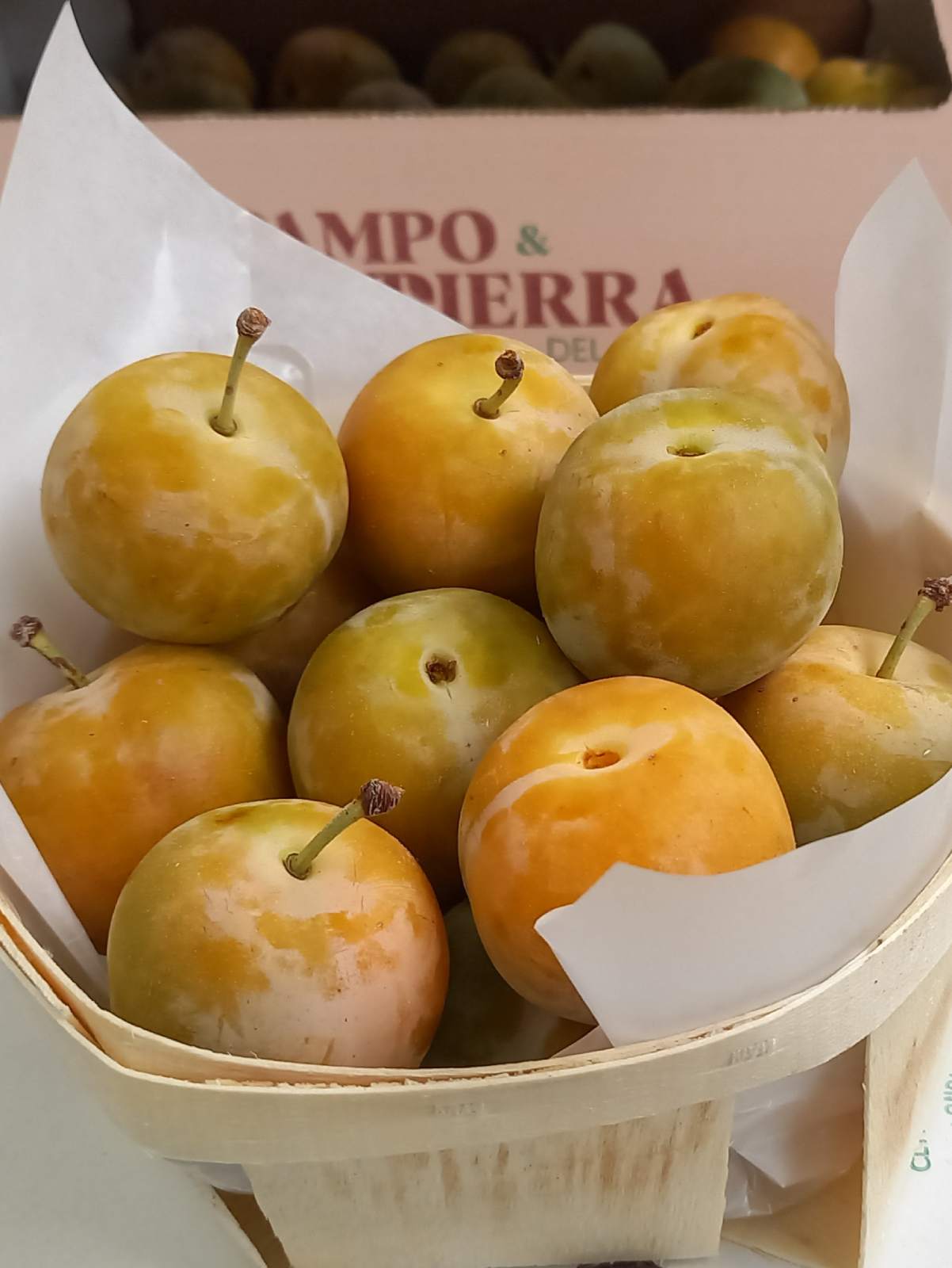 ciruela reina claudia campo y tierra